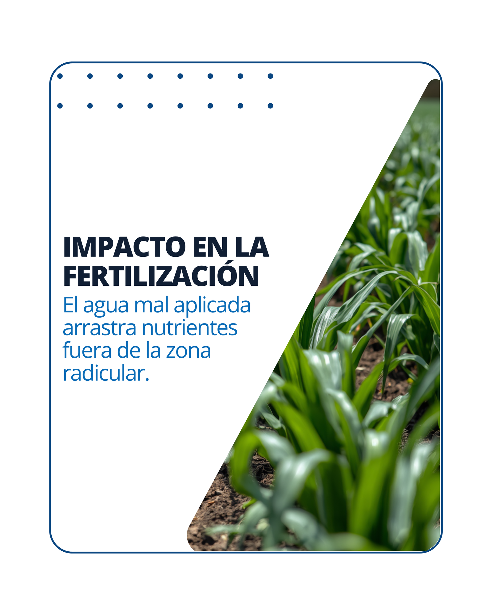 Servicios de instalación y asesoramiento